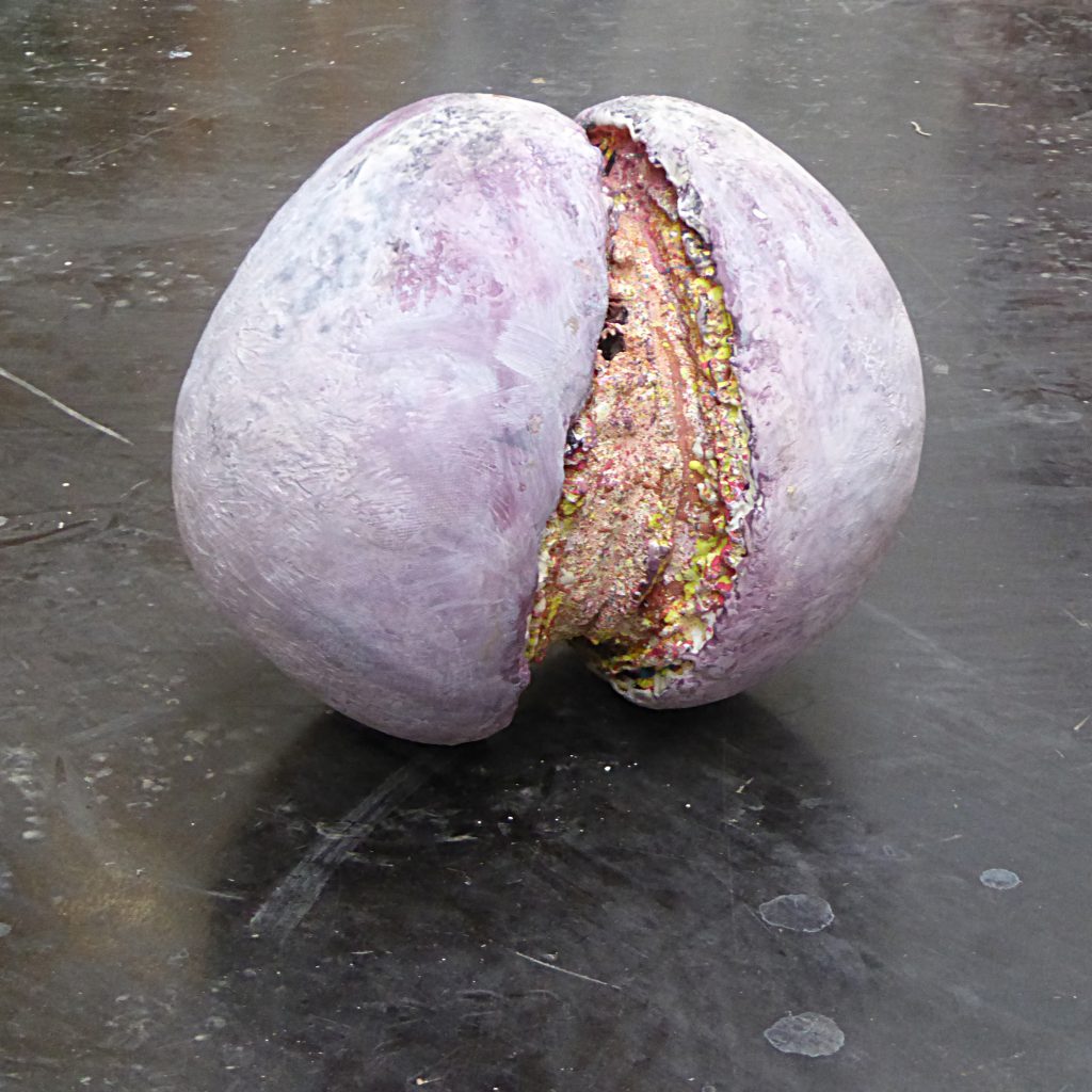 Zygote 2009