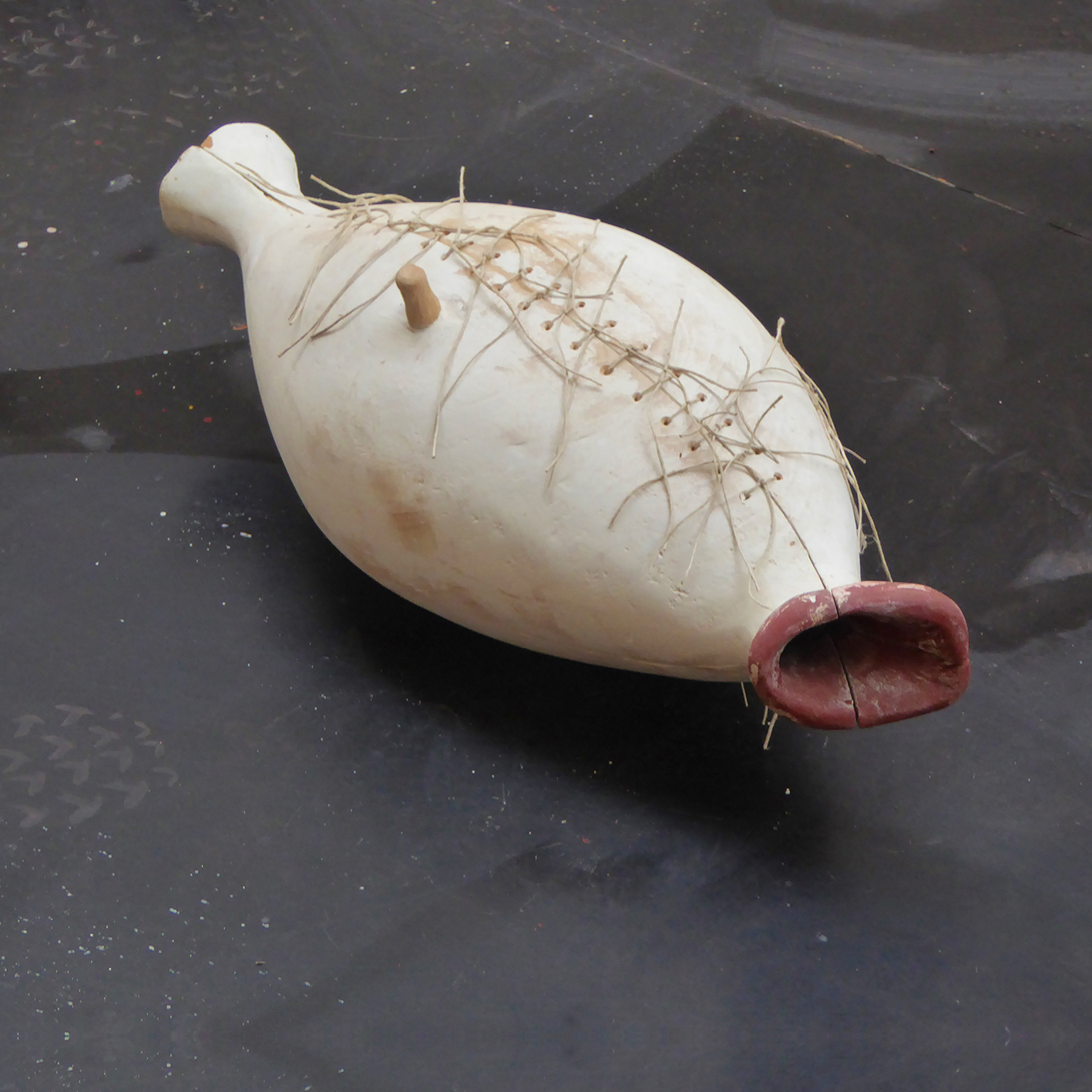 Canard