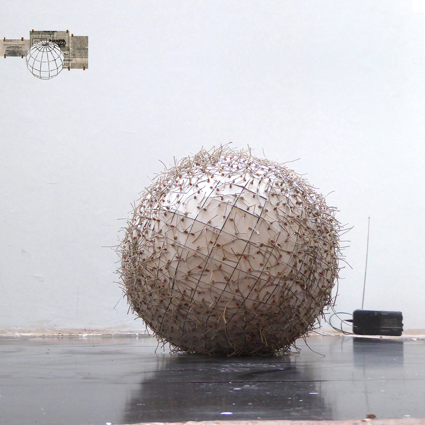 Globe
