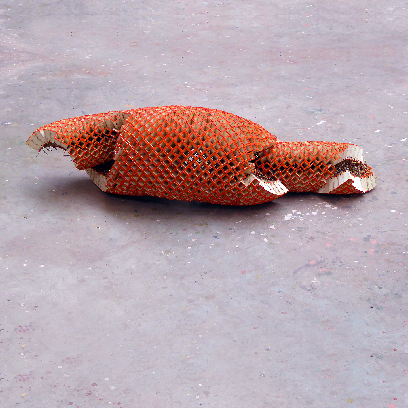 Coquille