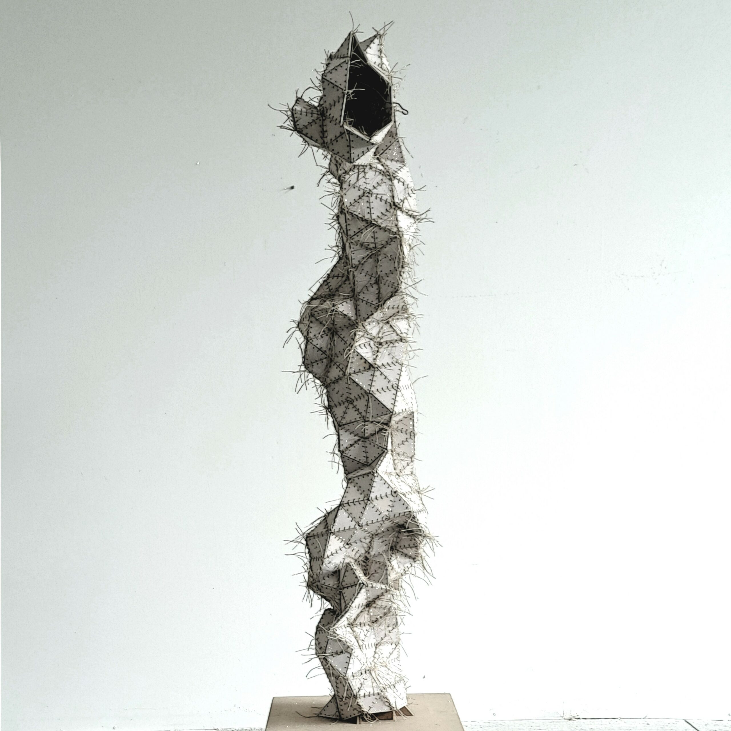 Les plis de la statue